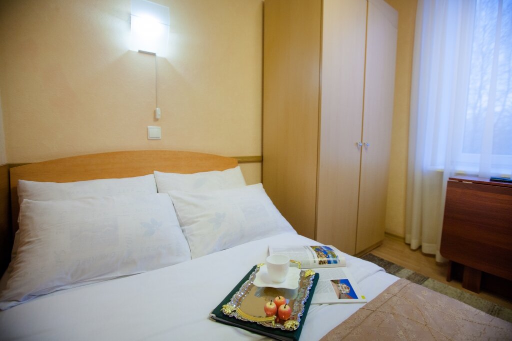 Гостиница Ингрия Колпино-231