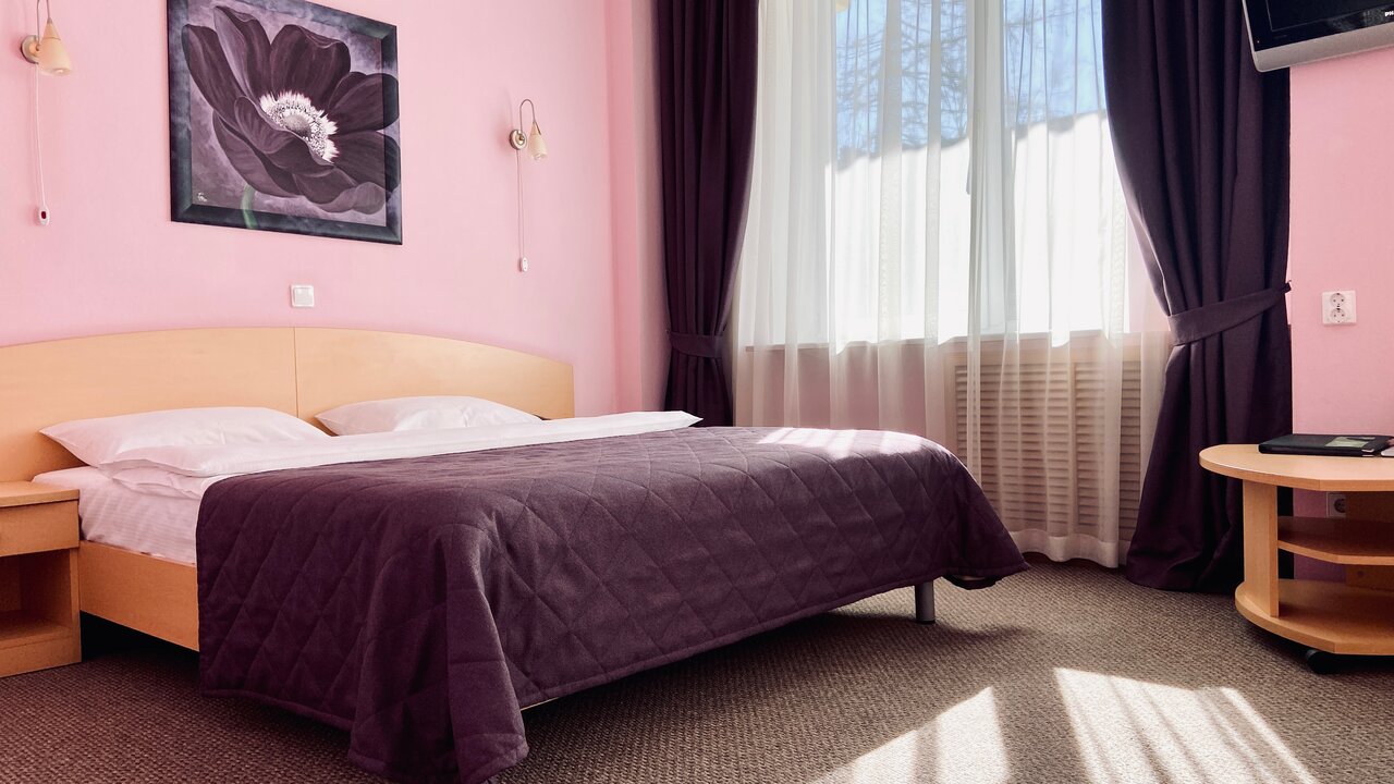 Гостиница Ингрия Колпино-66