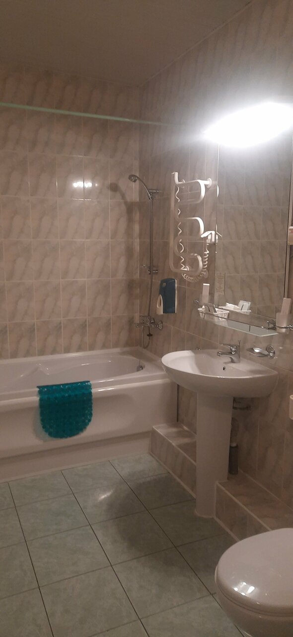 Гостиница Ингрия Колпино-229