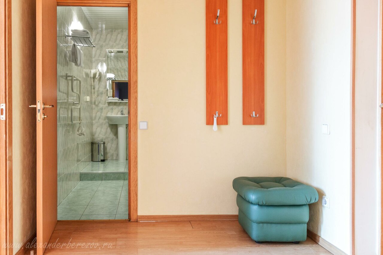 Гостиница Ингрия Колпино-145