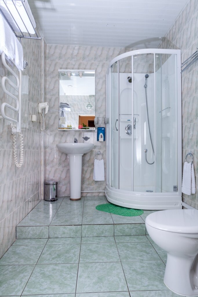 Гостиница Ингрия Колпино-209