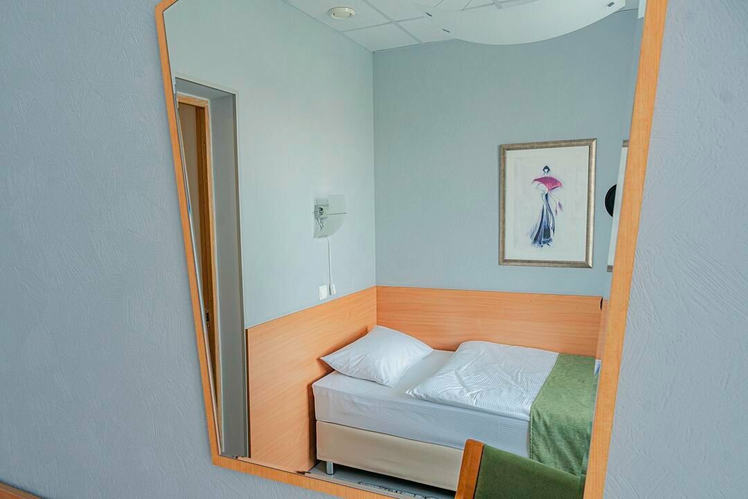 Гостиница Ингрия Колпино-201