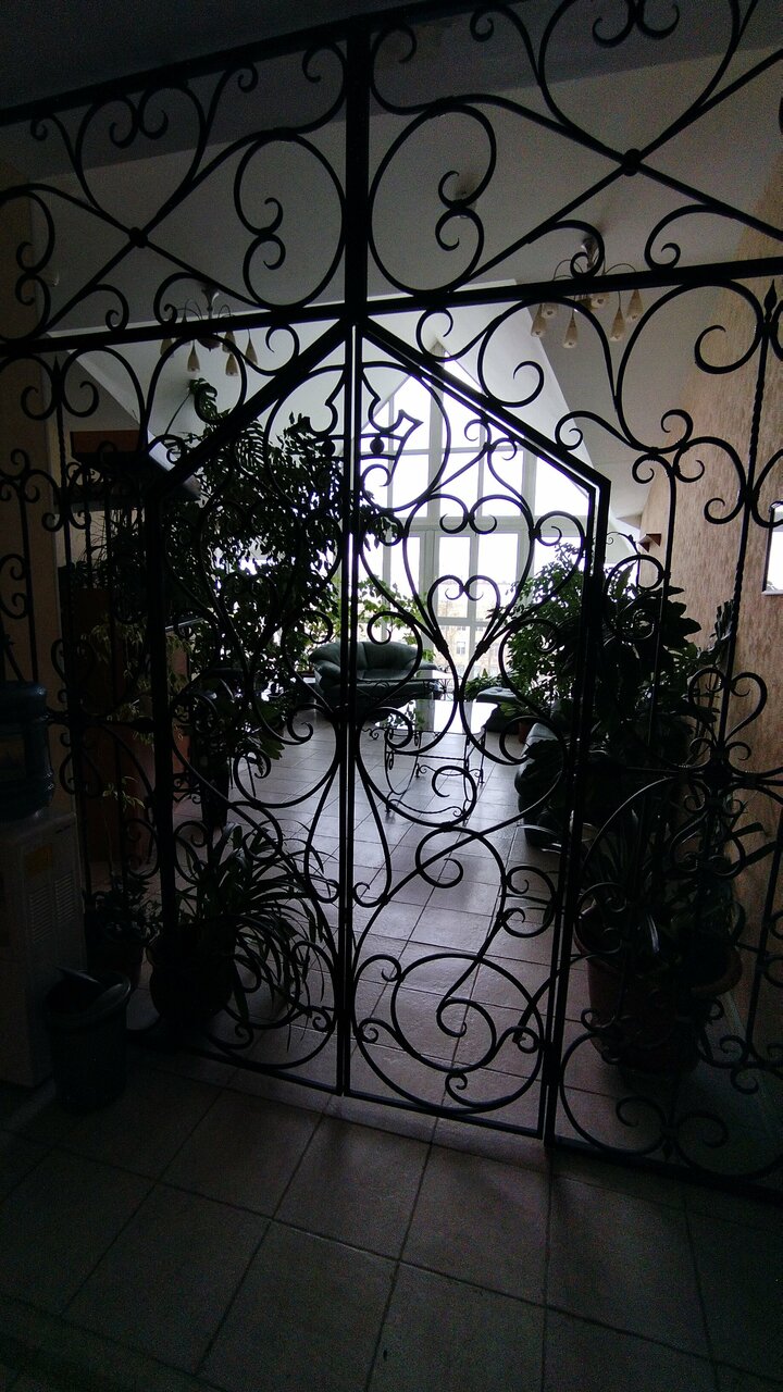 Гостиница Ингрия Колпино-33