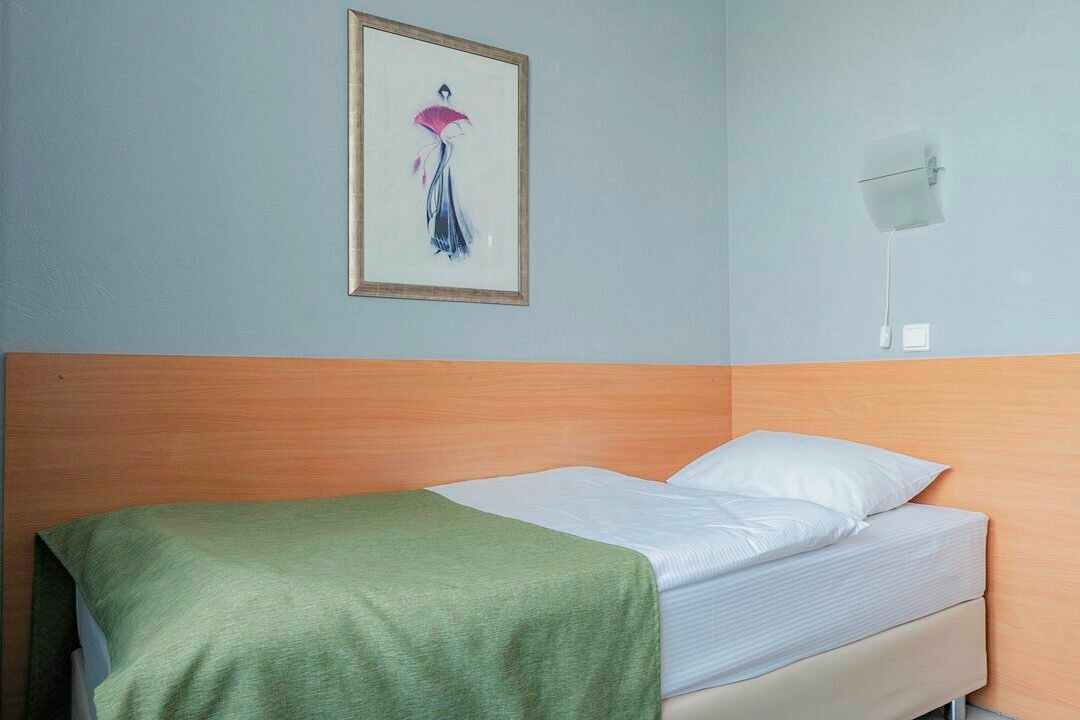 Гостиница Ингрия Колпино-245