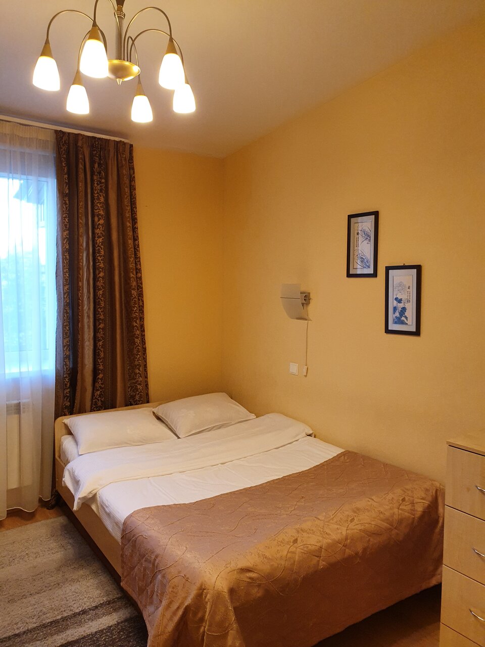 Гостиница Ингрия Колпино-225