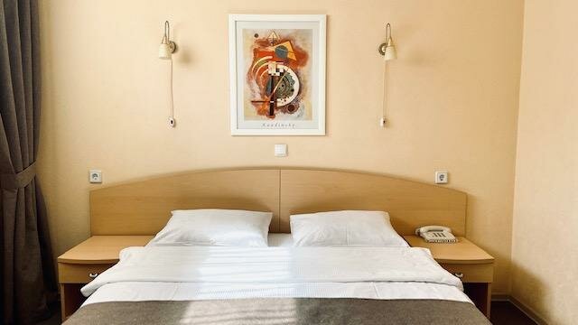 Гостиница Ингрия Колпино-240