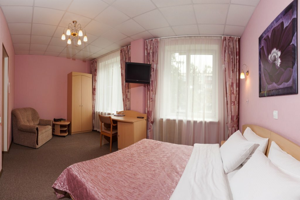 Гостиница Ингрия Колпино-94