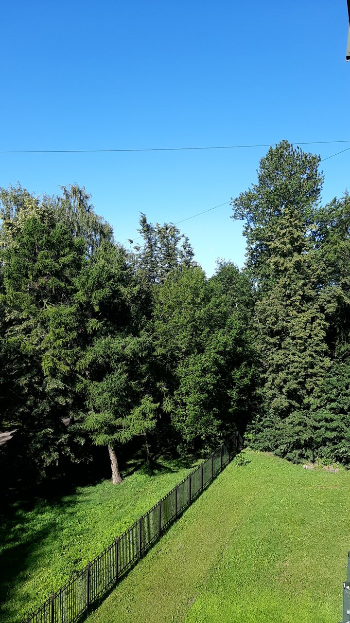 Гостиница Ингрия Колпино-54