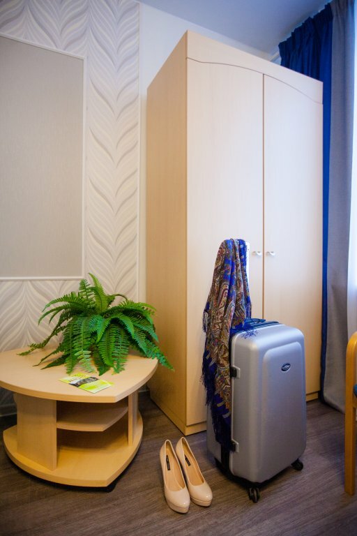 Гостиница Ингрия Колпино-52