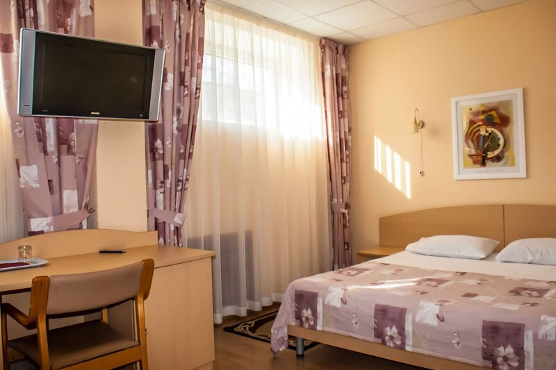 Гостиница Ингрия Колпино-227