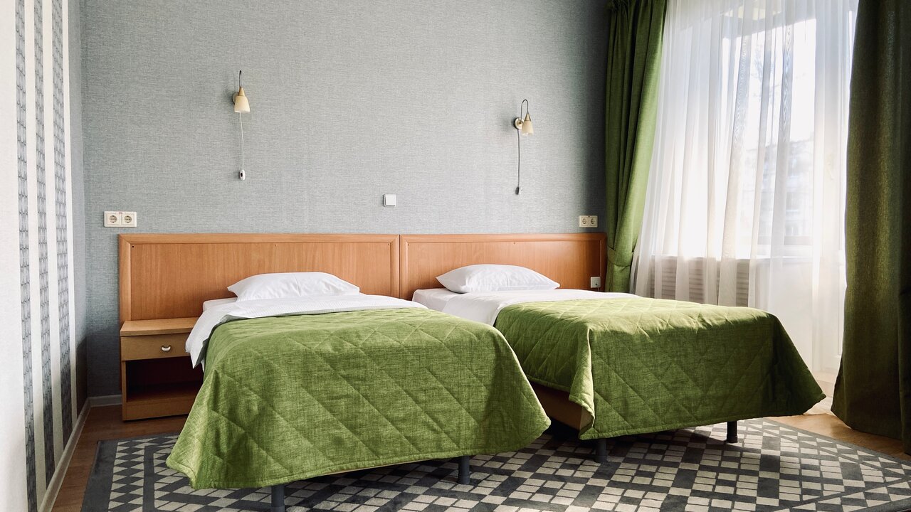 Гостиница Ингрия Колпино-113