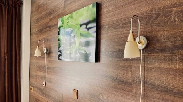 Гостиница Ингрия Колпино-187