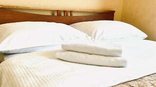 Гостиница Ингрия Колпино Одноместный-6