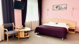 Гостиница Ингрия Колпино Стандарт с двухспальной кроватью-2