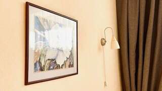 Гостиница Ингрия Колпино Стандарт с двухспальной кроватью-5