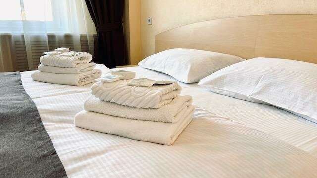 Гостиница Ингрия Колпино-10