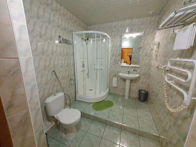 Гостиница Ингрия Колпино-177