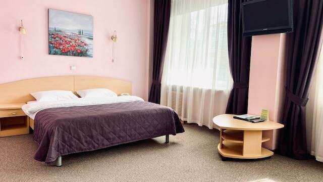 Гостиница Ингрия Колпино-217