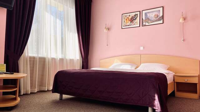 Гостиница Ингрия Колпино-236