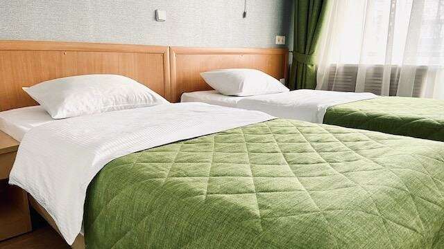 Гостиница Ингрия Колпино-81