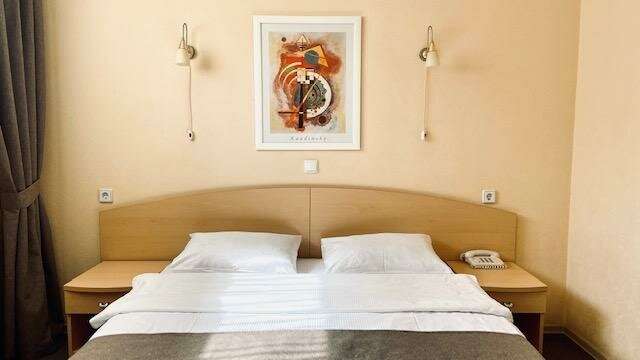 Гостиница Ингрия Колпино-239