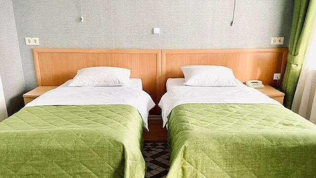 Гостиница Ингрия Колпино-199