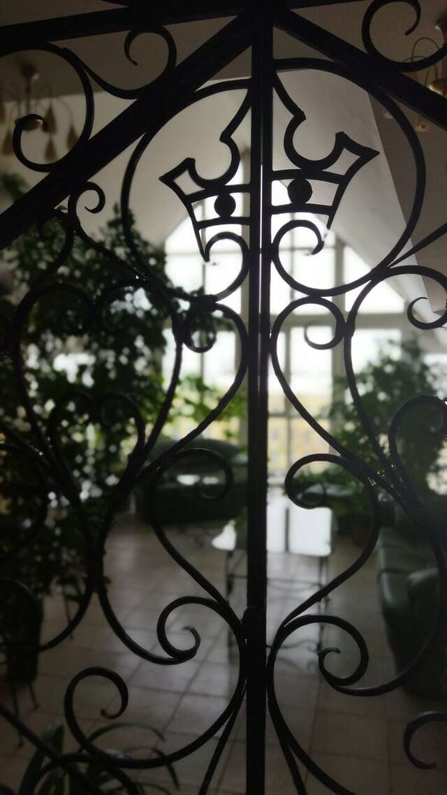 Гостиница Ингрия Колпино-159