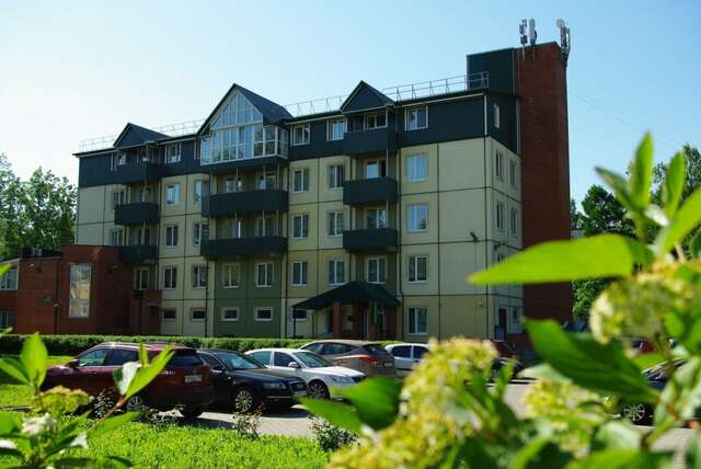 Гостиница Ингрия Колпино-99