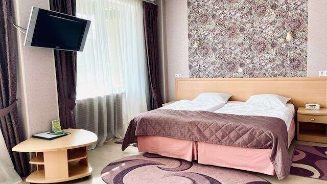 Гостиница Ингрия Колпино-165