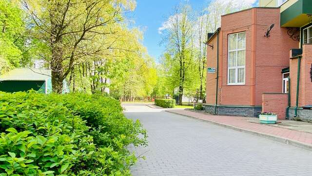 Гостиница Ингрия Колпино-83