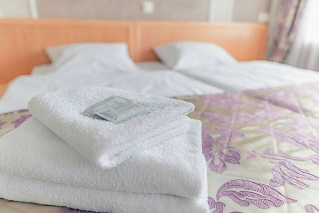 Гостиница Ингрия Колпино-61