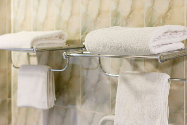 Гостиница Ингрия Колпино-130